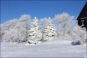 Winter in Seiffen